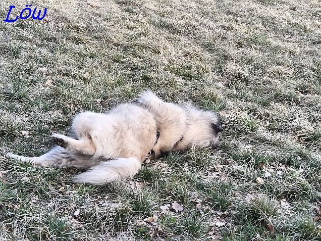 21.3.2025 - Dwix badet im Wiesenreif